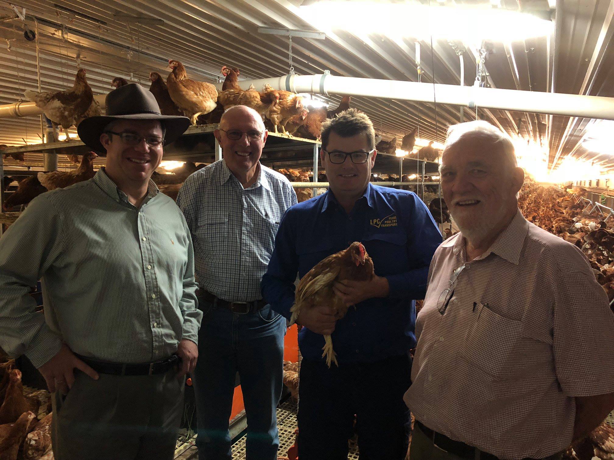 LPC Eggs Temora Shire Council LPC Eggs